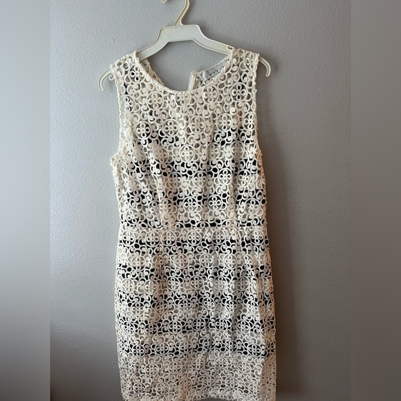 Adelyn Rae Dresses & Skirts - White lace with built in black and white stripe dress